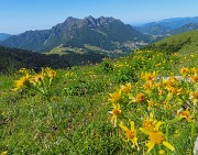Capanna 2000 ad anello da Alpe Arera, festa di fiori-13giu26- FOTOGALLERY